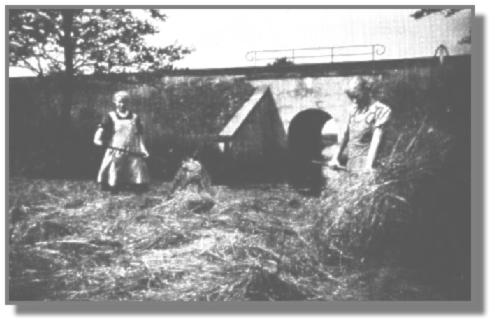 Die Schwestern Talkea (links) und Elisabeth schütten mit ihren Heuforken das noch nicht trockene Gras. Im Hintergrund erkennt der Betrachter den "Tochschlot", der unter dem Eisenbahndamm hindurch zum Esklumer Siel fließt.