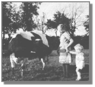 Normalerweise war es die Aufgabe der Kinder, die Kühe abends zum Haus zu treiben.